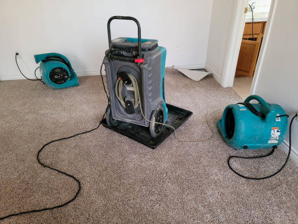 Best Flooded house restoration  in Oxford, PA