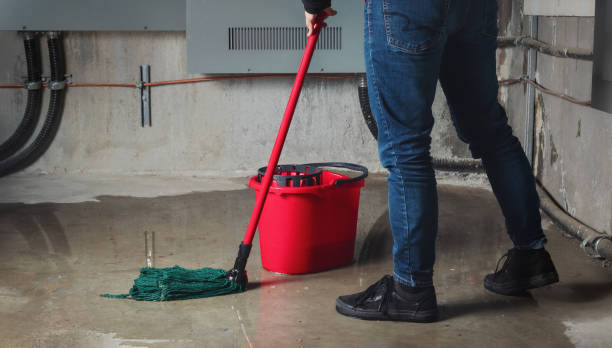 Best Professional water damage repair  in Oxford, PA