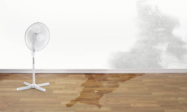 Best Water damage contractors near me  in Oxford, PA