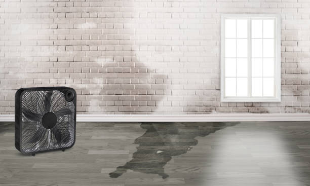 Best Water damage cleanup near me  in Oxford, PA