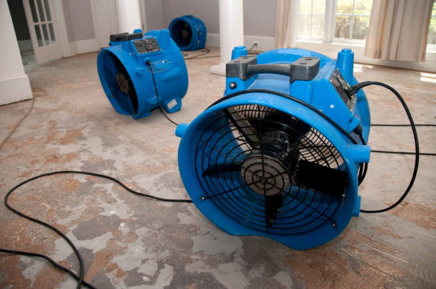 Best Flood restoration services  in Oxford, PA