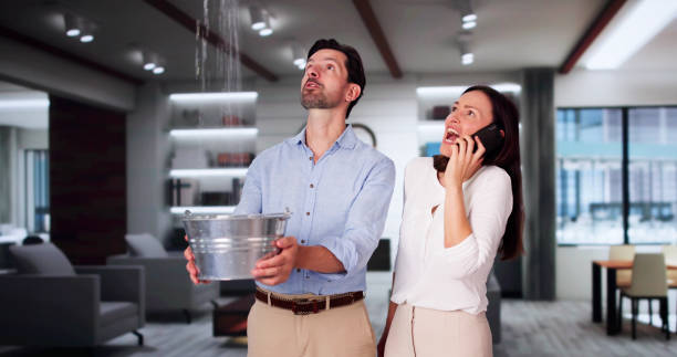 Best Local water damage restoration  in Oxford, PA