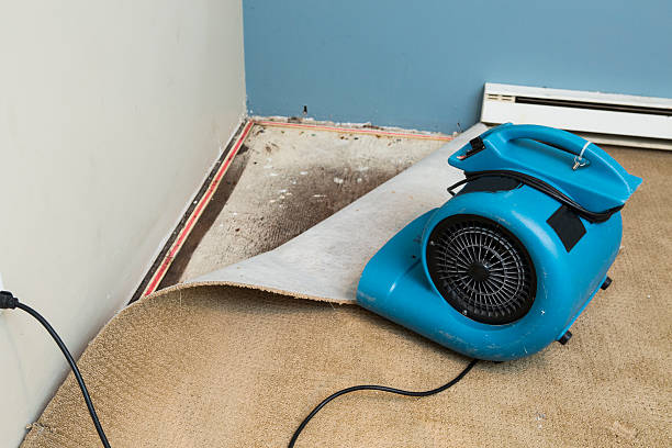 Best Flood damage cleanup  in Oxford, PA